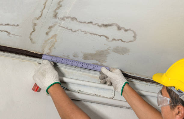 Reliable Water Damage Repair contractor in Bridgeton, NC by Hirex Water Damage